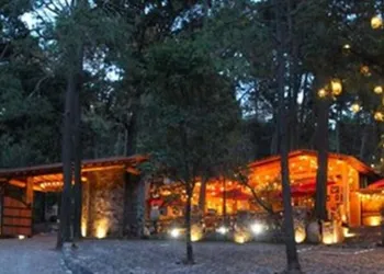 Cabañas La Vid Del Bosque hotel thumbnail 2