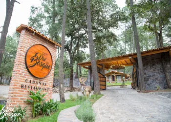 Cabañas La Vid Del Bosque hotel thumbnail 6
