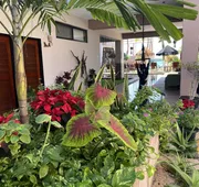 Bahía Tolok hotel detail image 5