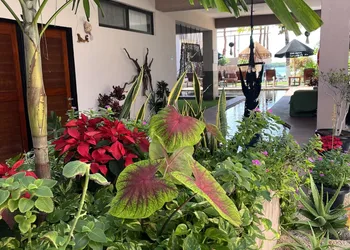 Bahía Tolok hotel thumbnail 5