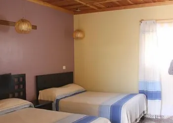 Hotel de las Flores hotel thumbnail 7