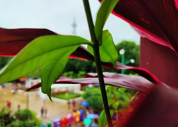 Hotel Wayak Palenque hotel thumbnail 3