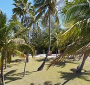 Matecumbe Resort hotel detail image 3