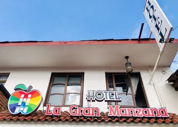 Hotel Gran Manzana hotel thumbnail 3