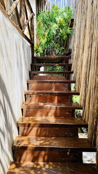 Orchid House Tulum Jungle hotel detail image 2