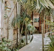 Orchid House Tulum Jungle hotel detail image 7