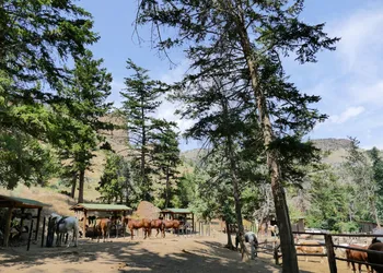 Bill Cody Ranch hotel thumbnail 2