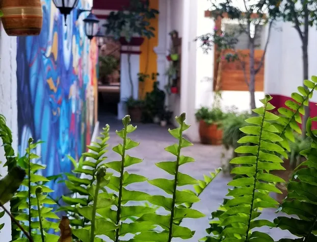 Santa Josefita hotel detail image 3
