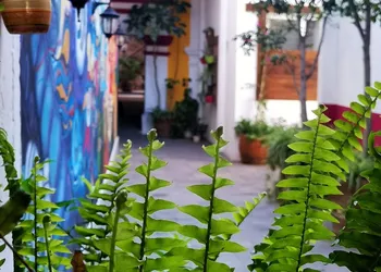 Santa Josefita hotel thumbnail 5