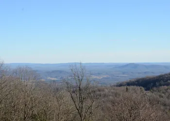 Bent Mountain Lodge hotel thumbnail 4
