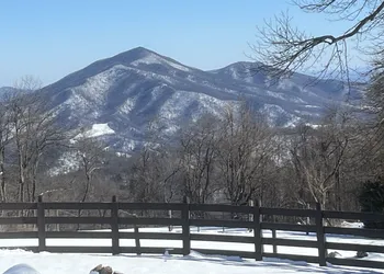 Bent Mountain Lodge hotel thumbnail 5