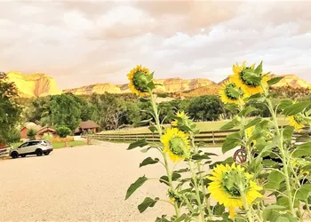 Arrowhead Country Cabins hotel thumbnail 4
