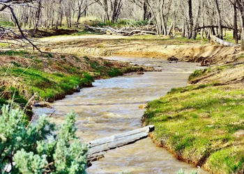 Arrowhead Country Cabins hotel thumbnail 7