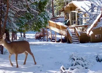 Arrow Lodge hotel thumbnail 4