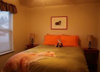 Yellowstone Wildlife Cabins hotel thumbnail 6