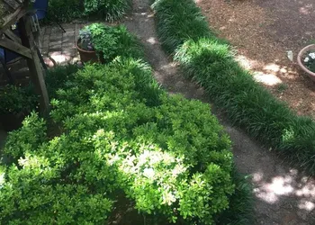 Azalea Plantation B&B hotel thumbnail 7