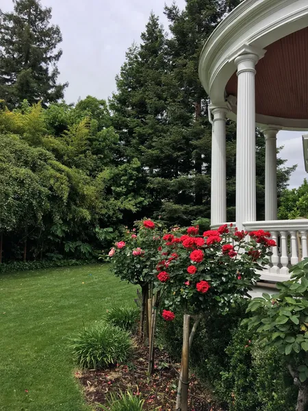 Churchill Manor B&B hotel detail image 6