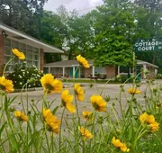 Dame Fortune's Cottage Court hotel detail image 5