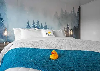 The Lazy Duck Inn hotel thumbnail 2