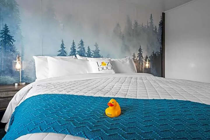 The Lazy Duck Inn hotel detail image 2