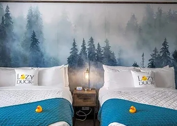 The Lazy Duck Inn hotel thumbnail 8