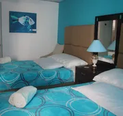 Basic-Hotel hotel detail image 4
