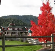 Beaver Valley Lodge hotel detail image 5