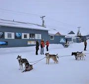 Iceberg Inn hotel detail image 3