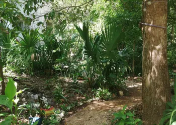 Mayan Bungalow Near Chichén Itza hotel thumbnail 6
