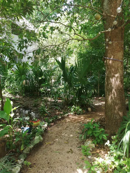 Mayan Bungalow Near Chichén Itza hotel detail image 6