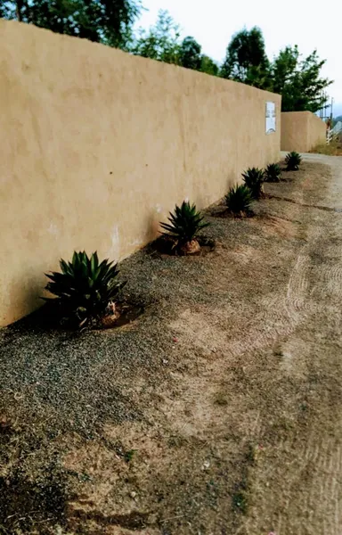 Rancho El Matalote hotel detail image 6