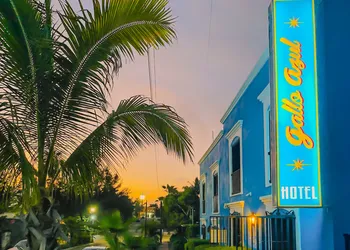 Hotel Gallo Azul Downtown Todos Santos hotel thumbnail 2