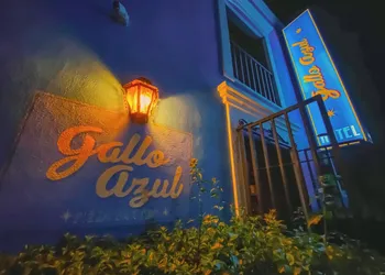Hotel Gallo Azul Downtown Todos Santos hotel thumbnail 3