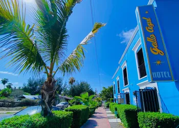 Hotel Gallo Azul Downtown Todos Santos hotel thumbnail 4