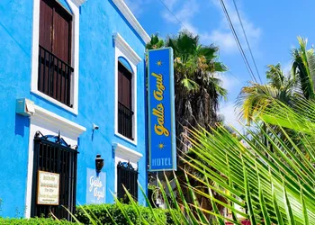 Hotel Gallo Azul Downtown Todos Santos hotel thumbnail 6