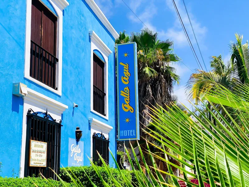 Hotel Gallo Azul Downtown Todos Santos hotel detail image 6