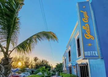 Hotel Gallo Azul Downtown Todos Santos hotel thumbnail 7