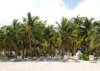 Hotel Cielo y Selva hotel thumbnail 3