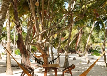 Hotel Cielo y Selva hotel thumbnail 6