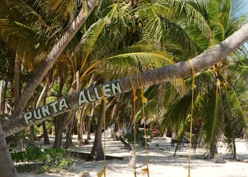 Hotel Cielo y Selva hotel thumbnail 7