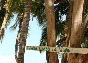 Hotel Cielo y Selva hotel thumbnail 8
