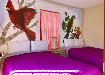 Hotel Jade Cerocahui hotel thumbnail 3