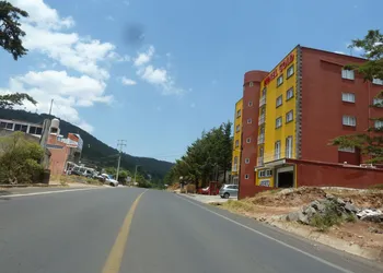 Hotel Gold hotel thumbnail 2