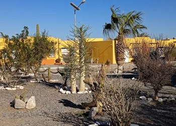 Los Vientos Hotel hotel thumbnail 8