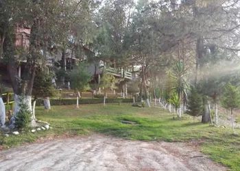 Cabañas Los Bosques del Zembo hotel thumbnail 2