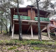 Cabañas Los Bosques del Zembo hotel detail image 4