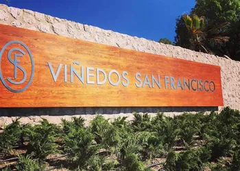 Viñedos San Francisco hotel thumbnail 2