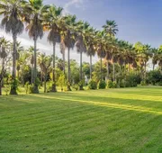 Finca San Javier hotel detail image 3