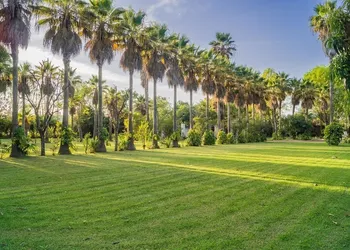 Finca San Javier hotel thumbnail 3