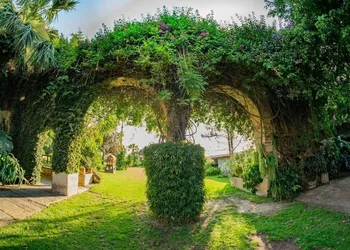 Finca San Javier hotel thumbnail 7